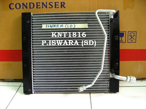 KNT1816