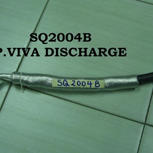 Sq2004b P.Viva