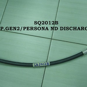 Sq2012b P.Gen2 Persona Nd Discharge