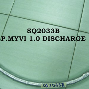 Sq2033 P.Myvi 1.0 Discharge